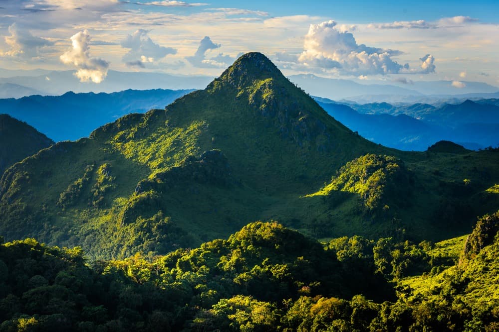 Jour 7