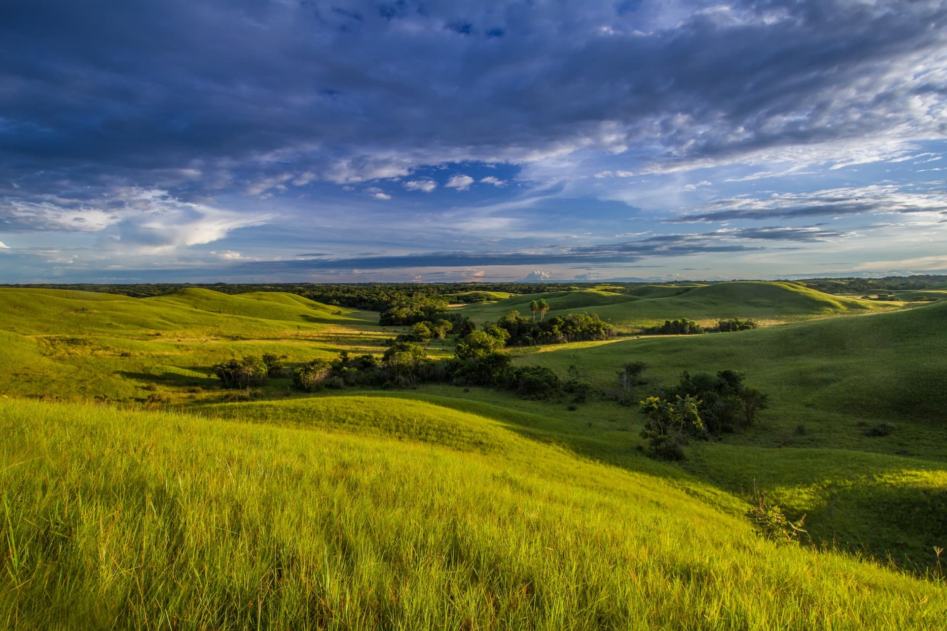 The Llanos