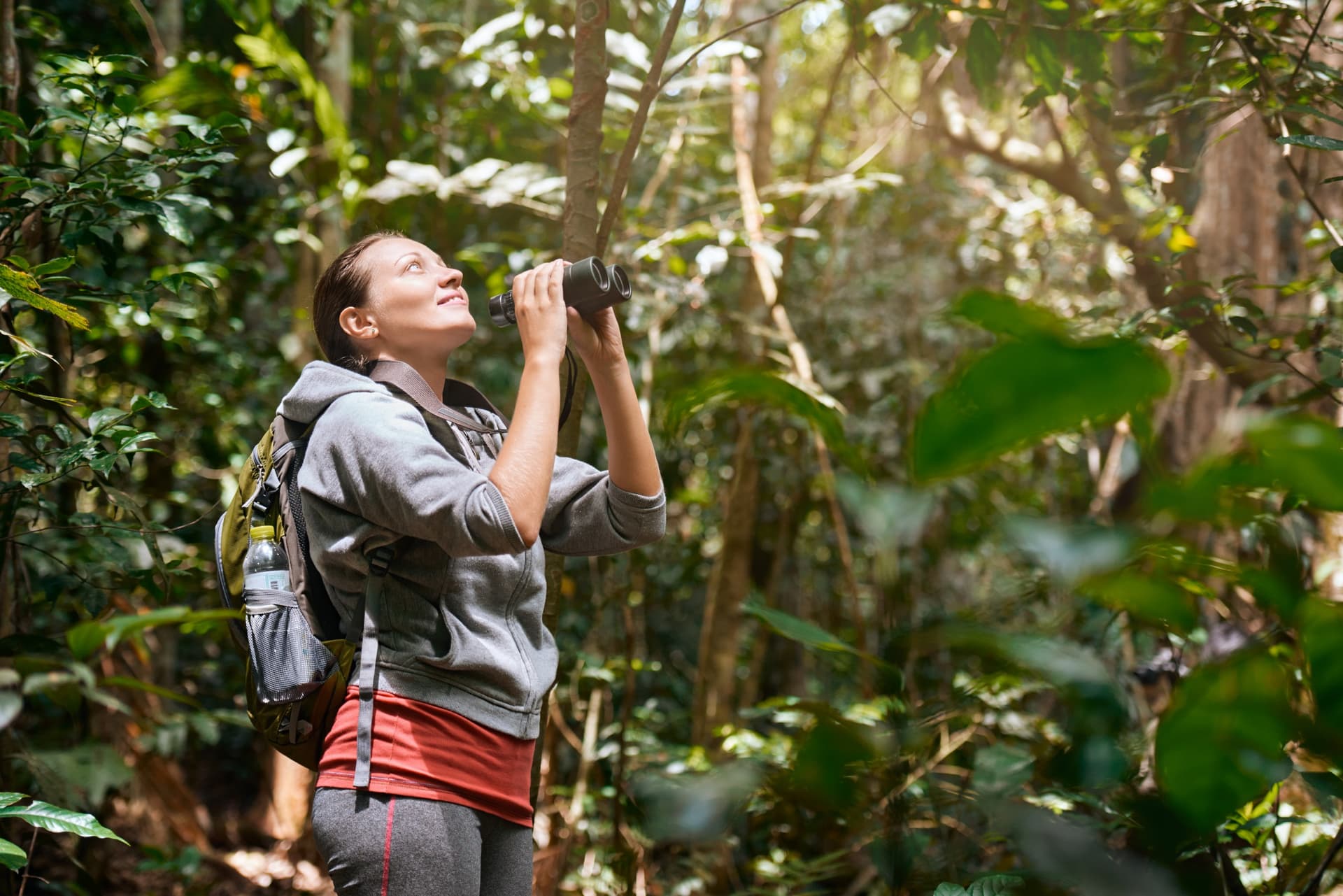 Bird Watching: Where to Spot Birds in Colombia?