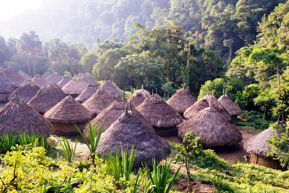 Kogui Village of Gungulaja